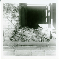Raised garden bed filled with boulders located on the exterior of the old Mission 66 Visitor Center and Museum.