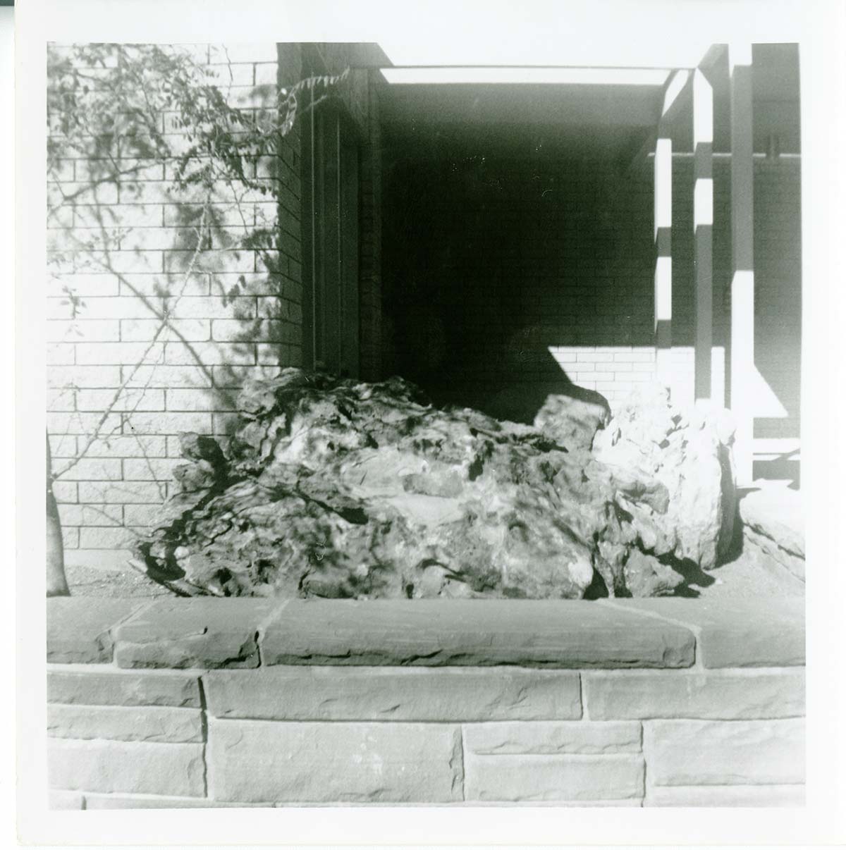 Raised garden bed filled with boulders located on the exterior of the old Mission 66 Visitor Center and Museum.