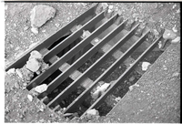 BW photos of rock slides in Kolob Canyons - 35mm.