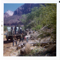 Boy Scout group cleaning up after tree crew in Watchman area.
