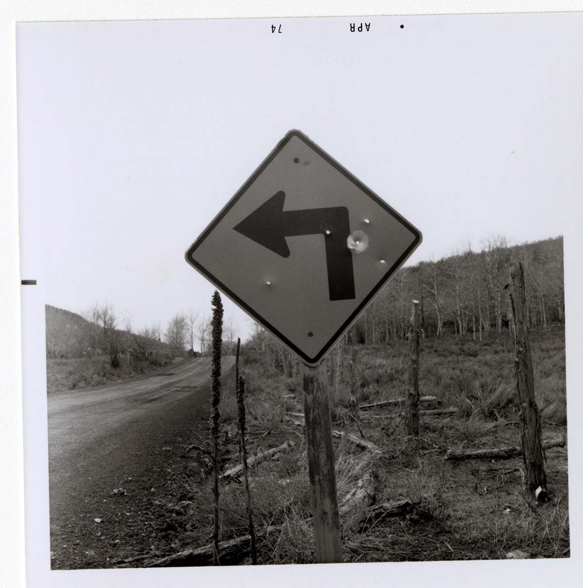 Left Turn Ahead' sign in Kolob Canyon.