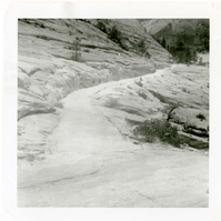 General view of the East Rim trail.