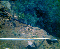 The construction of the Wiley Spring water pipeline.