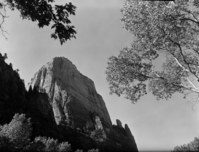 The Great White Throne from Weeping Rock junction.