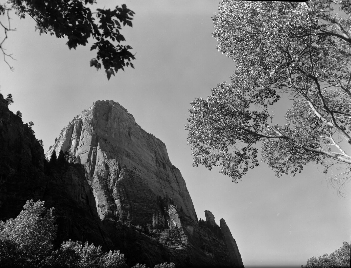 The Great White Throne from Weeping Rock junction.
