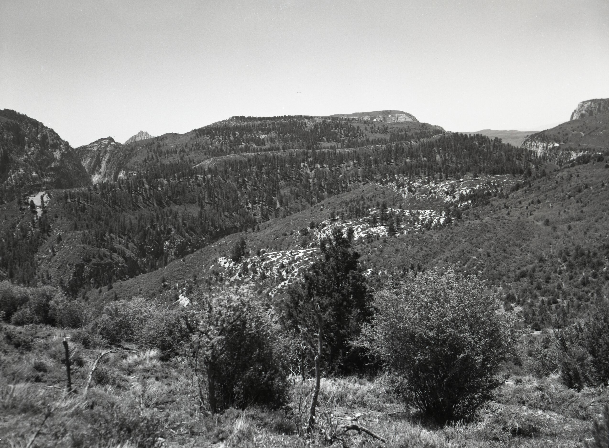 Inspection trip into Kolob area and the eroded road built by Evan Lee into Hop Valley.