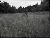 Sleepy hollow, federal land. General view of ungrazed land with excellent vegetative cover and no soil erosion.