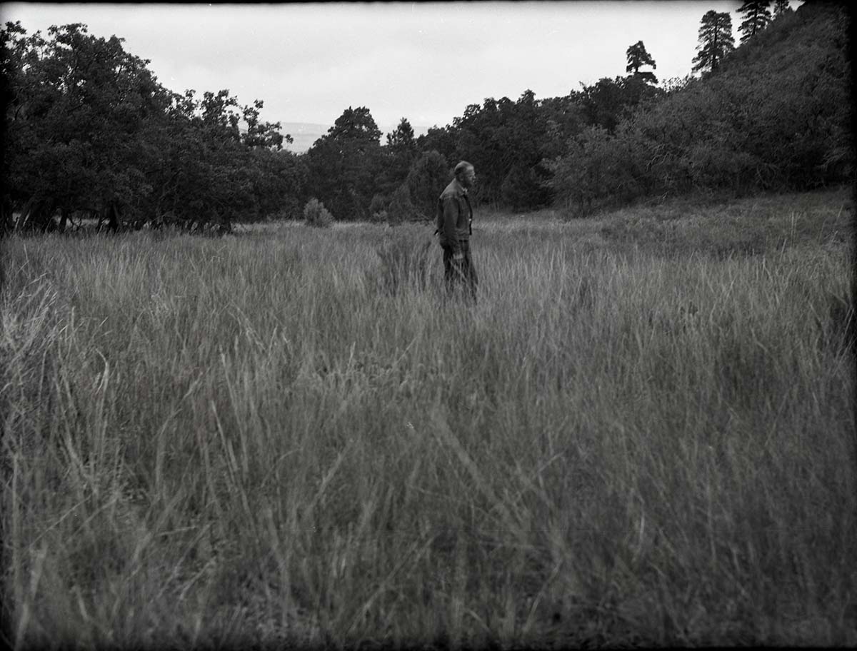 Sleepy hollow, federal land. General view of ungrazed land with excellent vegetative cover and no soil erosion.