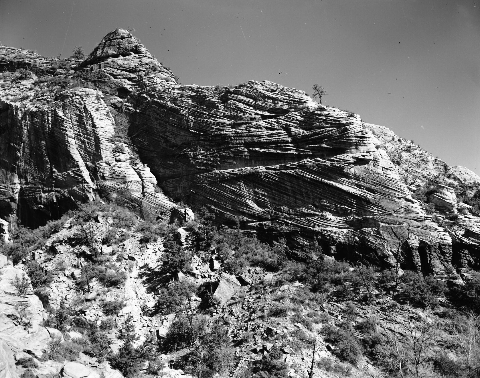 Cross-bedded Navajo sandstone, near east end of long tunnel.