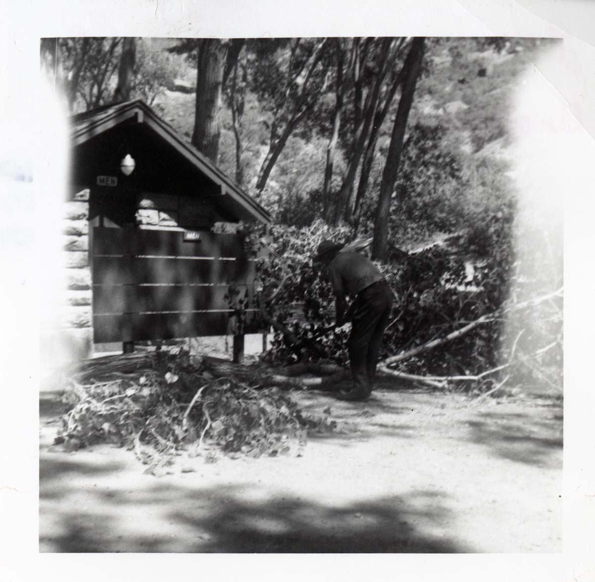 NPS employees clearing and removing brush.