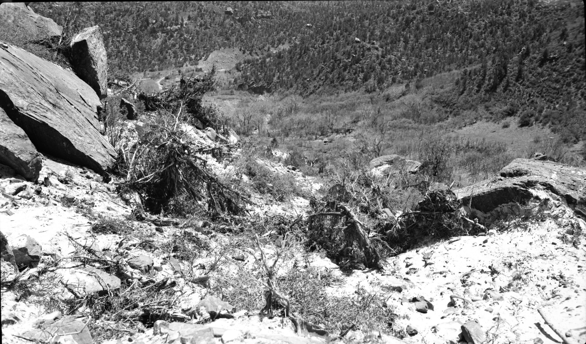 Rock fall in Birch Creek, foot of 2000-foot high cliff from which rock fell. [pits, scratches, and dents]