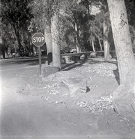 Stop sign at intersection along the scenic canyon drive near the Grotto.