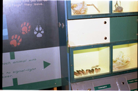 Color Photos of the old visitor center exhibits.