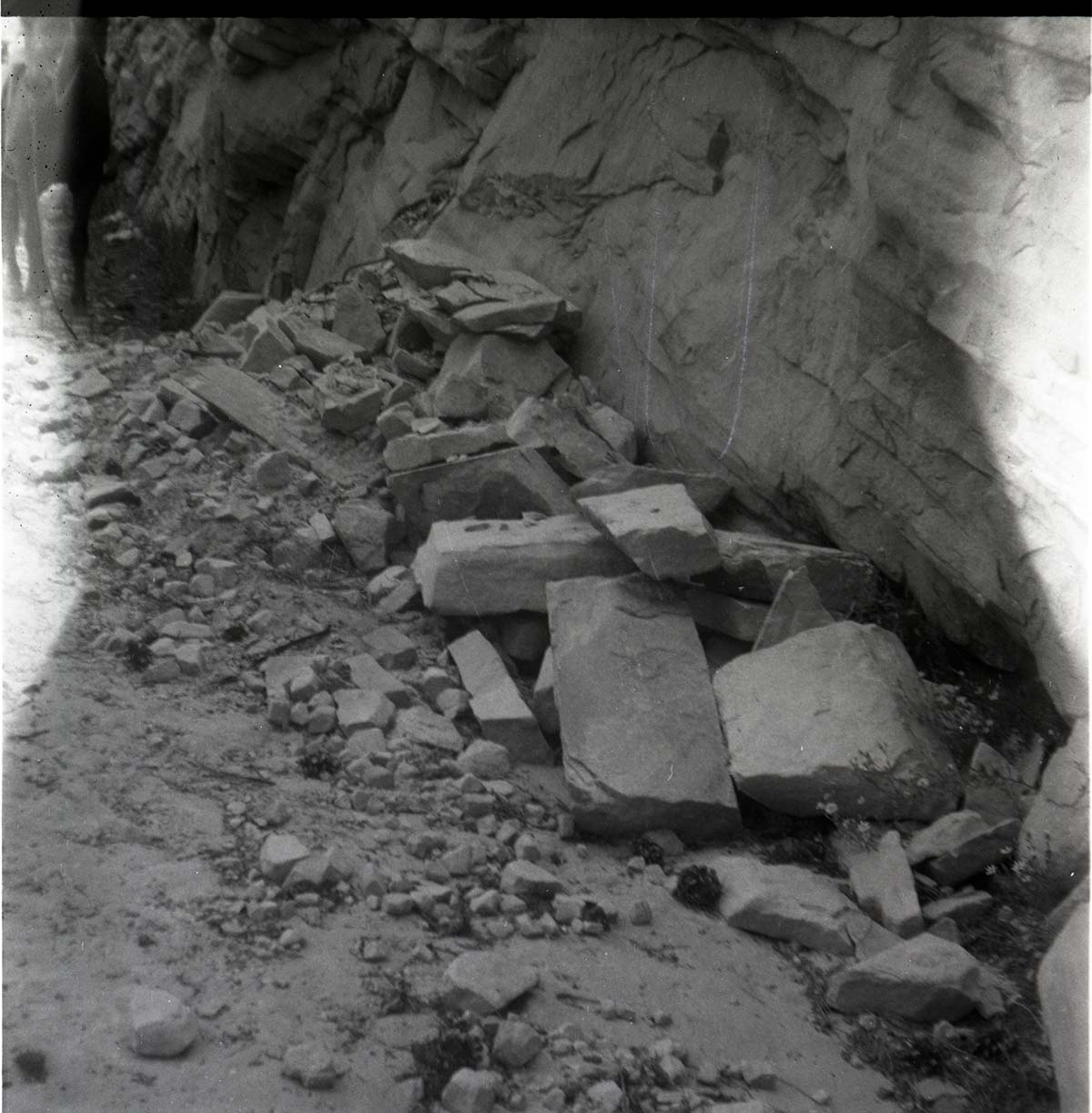 Rock and rubble piles at base of canyon wall, horse standing at far left. [Temple of Sinawava?]