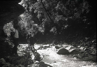 Zion Narrows upper end, Ranger Bruce Moorhead in foreground.