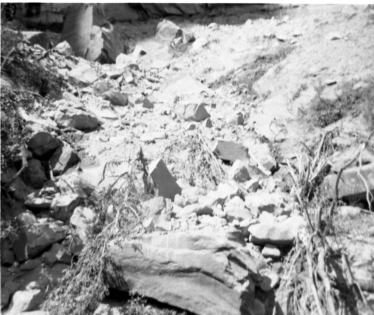 Rubble pile at base of canyon wall after rock slide. Birch Creek.