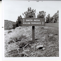 Road sign reading 'Smith Mesa' to the left and 'Kolob Terrace' to the right.