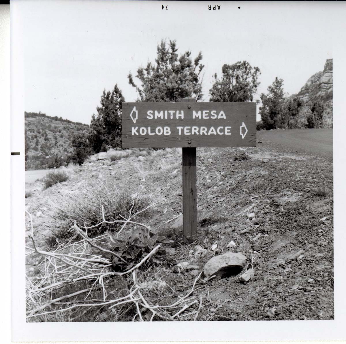 Road sign reading 'Smith Mesa' to the left and 'Kolob Terrace' to the right.