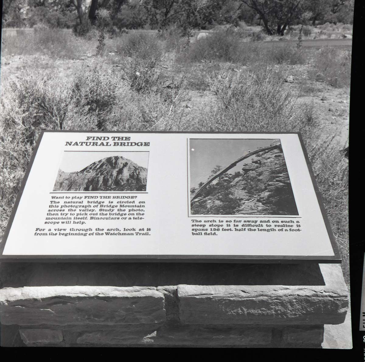 BW Photos of trailside exhibits.