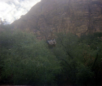 Scaffolding construction and use at the Temple of Sinawava during a spring project.
