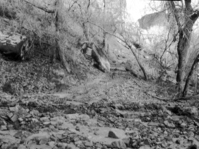Flood damage - Emerald Pools Trail near start of trail.