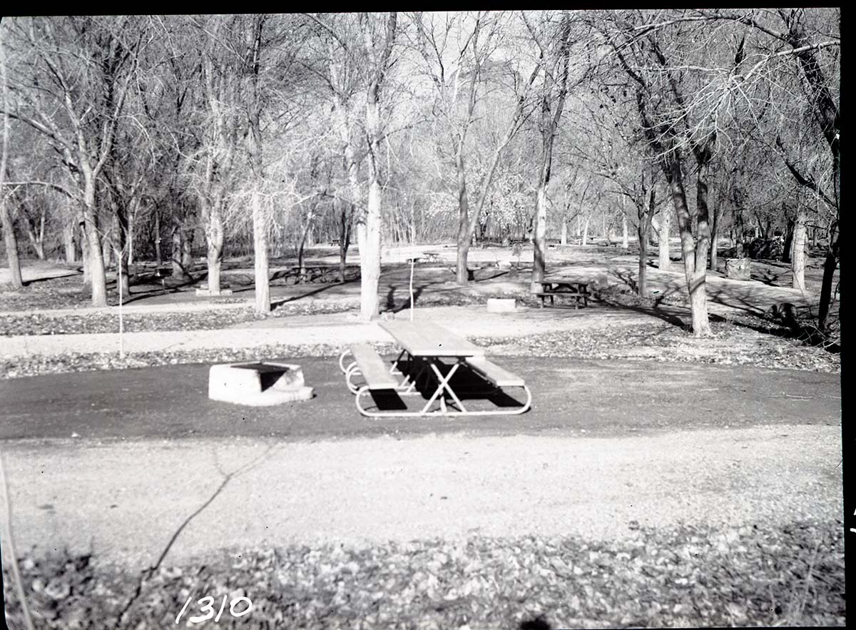 Campsite in new South Campground featuring shop-made table and cinder concrete fireplace.