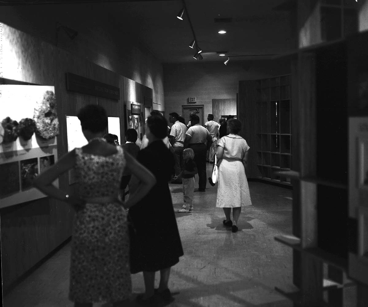 Interior of the Zion Museum space with visitors looking at exhibits.