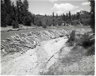 BW photo of the 1937 grazing study - 4x5.