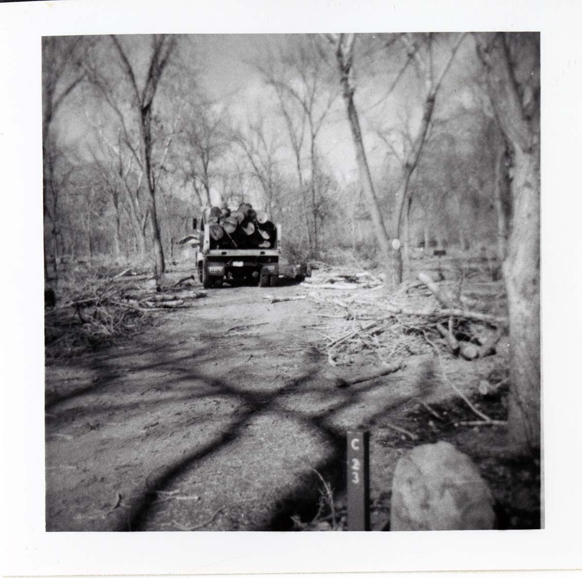 Cleaning and clearing in campground area.