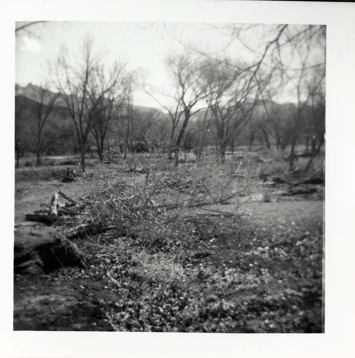 Cleaning and clearing in campground area.