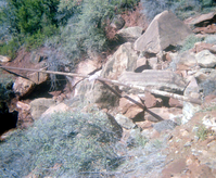 The construction of the Wiley Spring water pipeline.