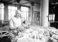 Mr. Sondag, Emergency Conservation Work (ECW) Civilian Conservation Corps (CCC) technician painting the Zion relief map.