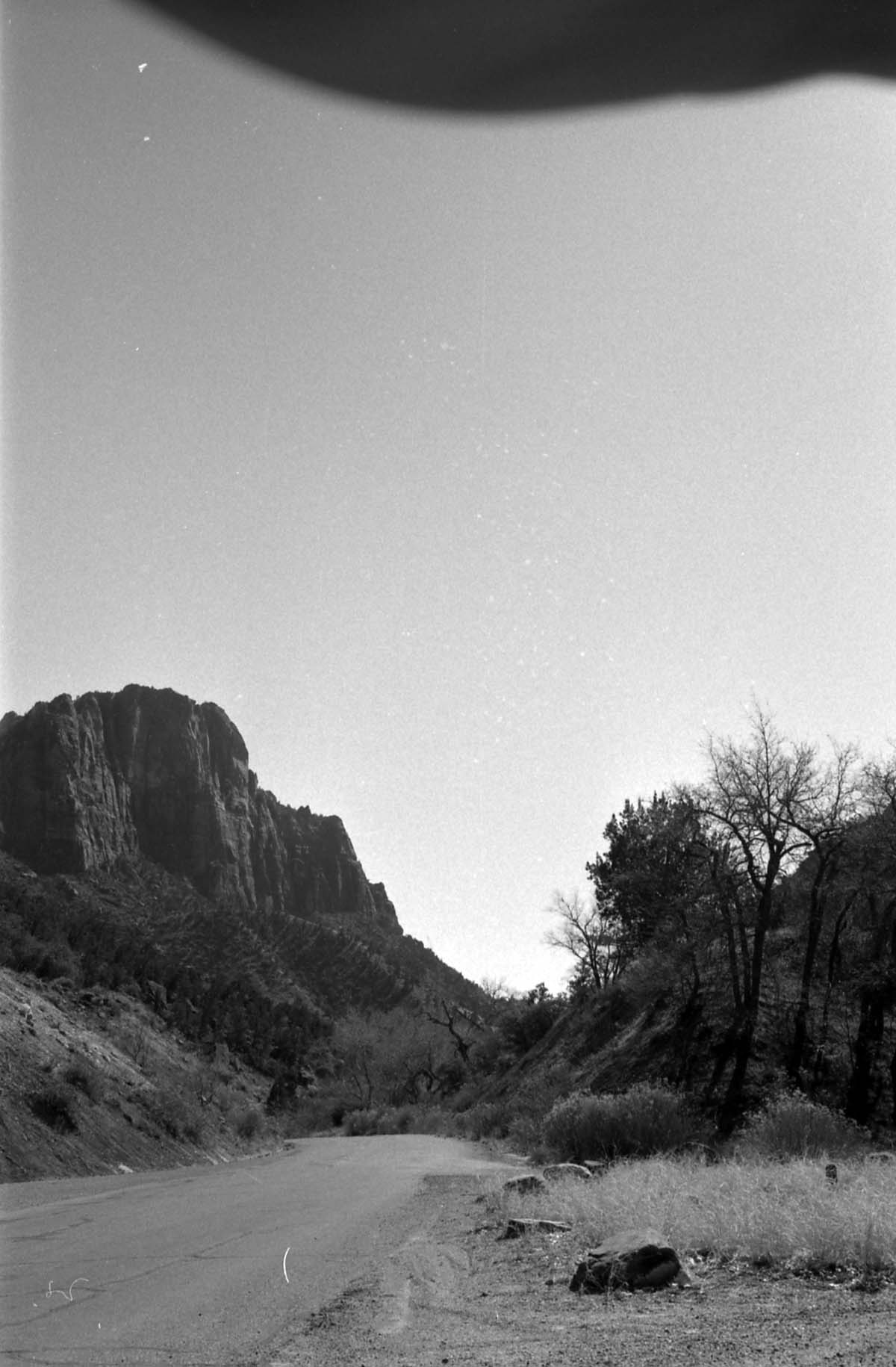 BW Photos of Zion Canyon. 35mm.