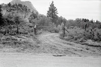 BW photo of the 1937 grazing study 35MM. Gate and dirt road.