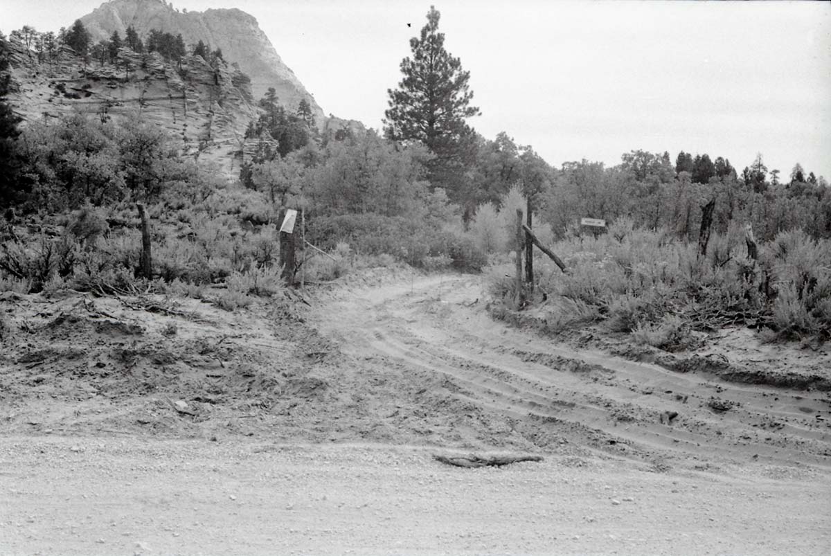 BW photo of the 1937 grazing study 35MM. Gate and dirt road.
