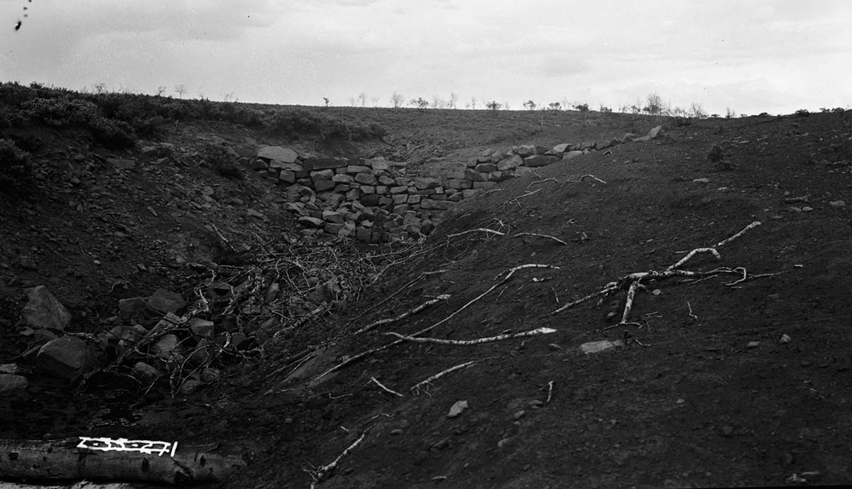 Blue Springs area with spring, wash with dam-type structure and driftwood dams for erosion control for Zion National Monument.