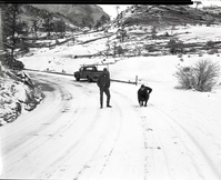 Snowplow accident, county line curve along East Entrance road showing vehicle that slid into snow plow and skid marks.