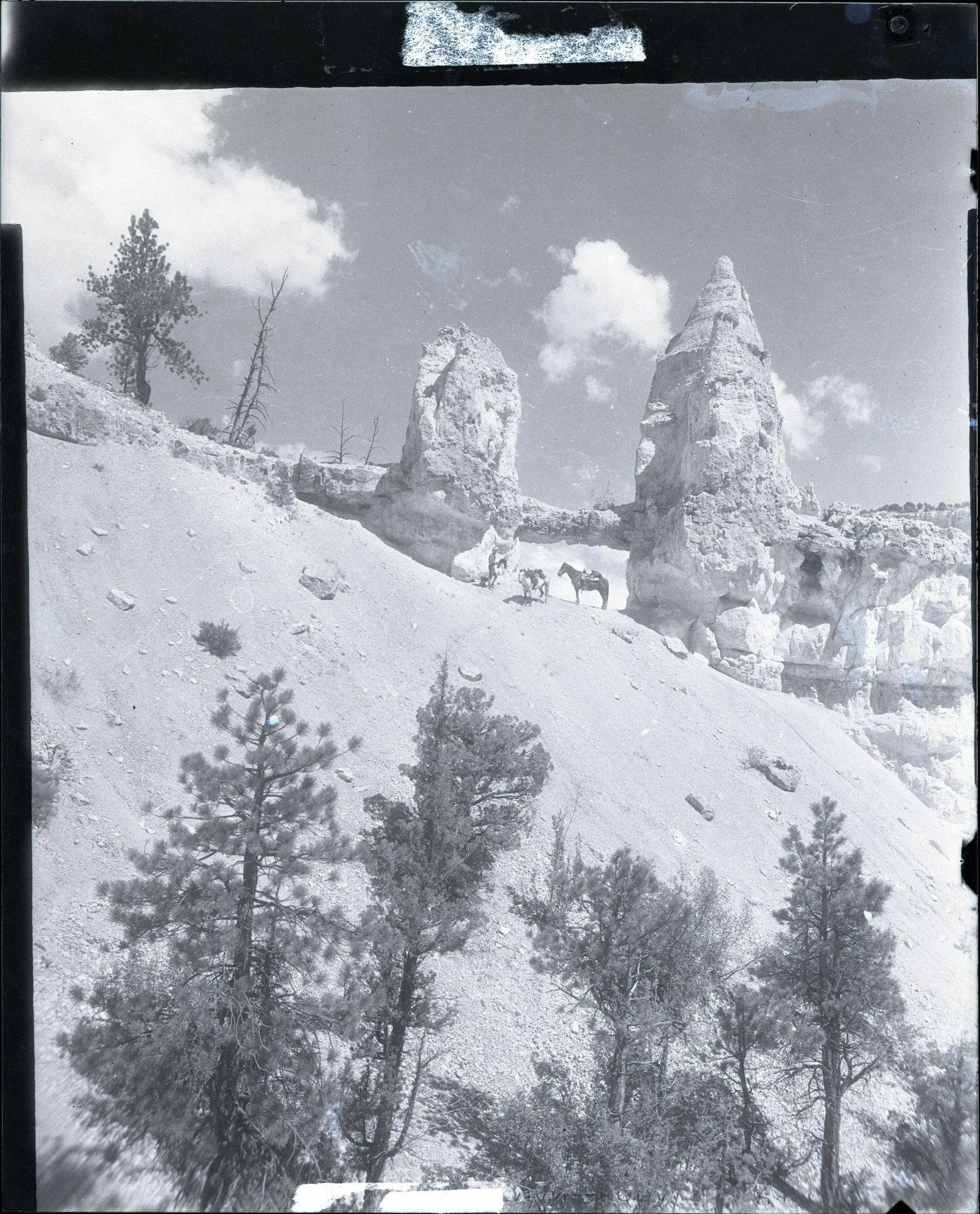 BRCA Museum and Archives Image