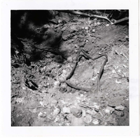 Wiring problem in the Grotto area.