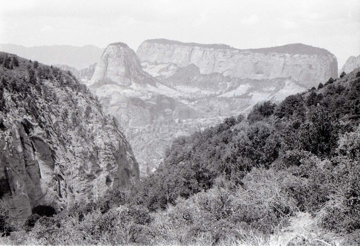 BW photo of the 1937 grazing study 35MM.