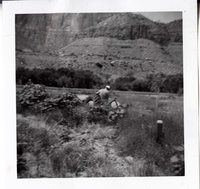 Park employee mowing on the tractor.
