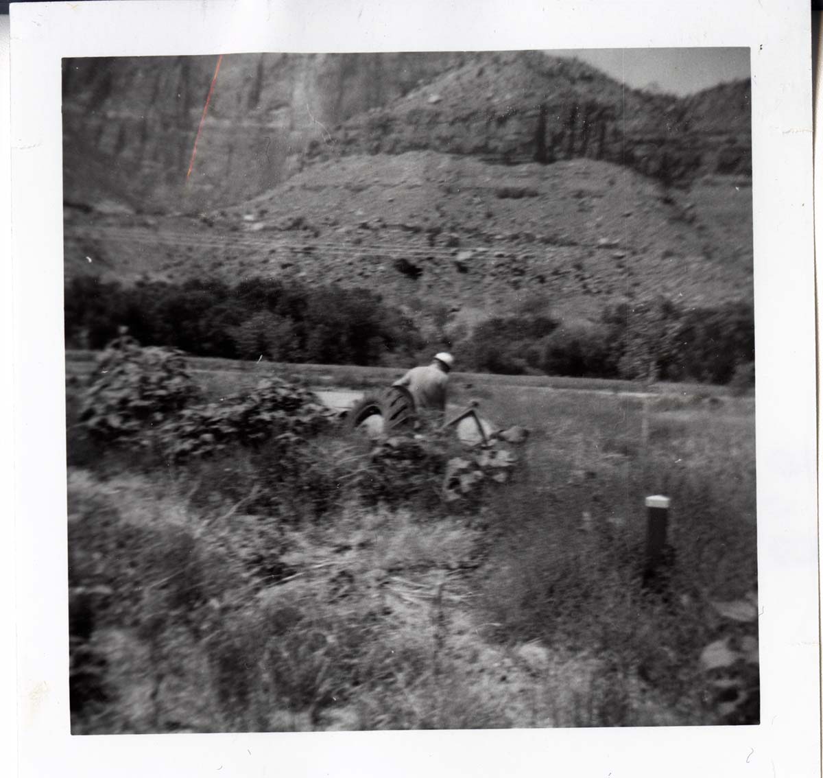 Park employee mowing on the tractor.