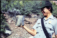 Color Photos of petrified wood. Man holding specimen.
