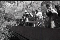 BW Photos of Junior Ranger Activities in Zion. On vehicle bridge near Watchman Housing Area.