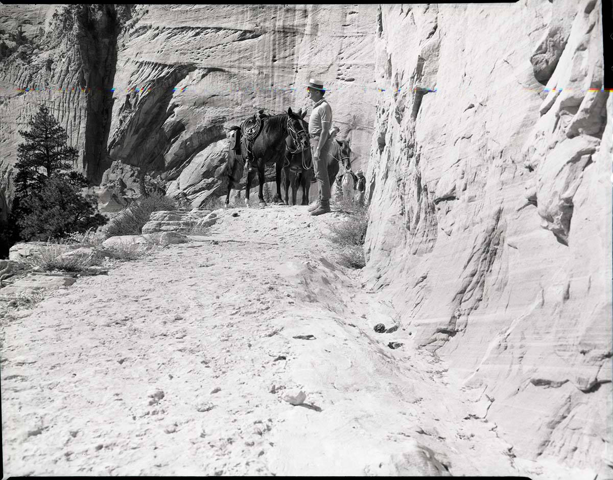 Completed paving of West Rim Trail near shelter cabin with horseback riders.