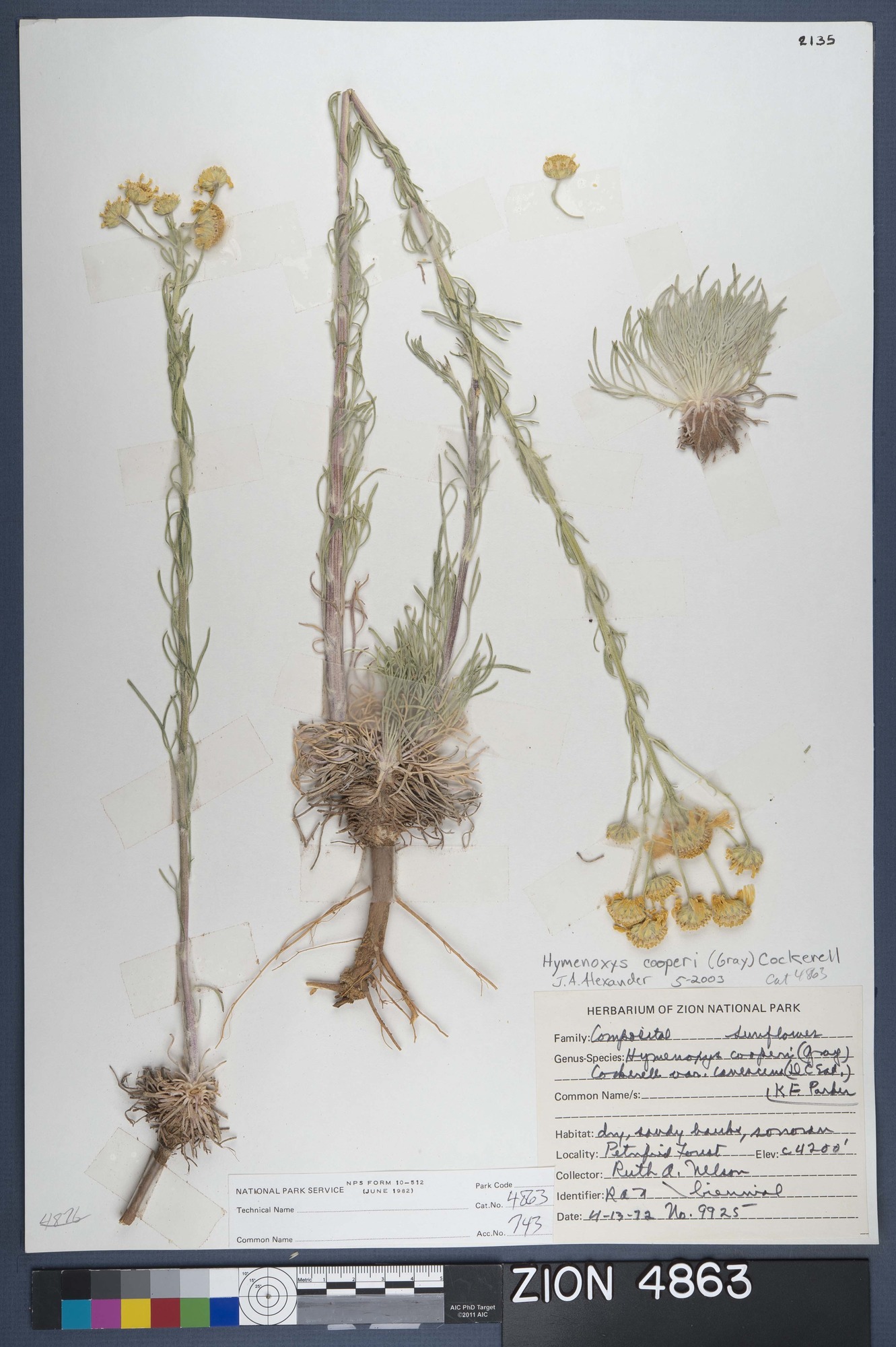 Herbarium Specimen Sheet 4863