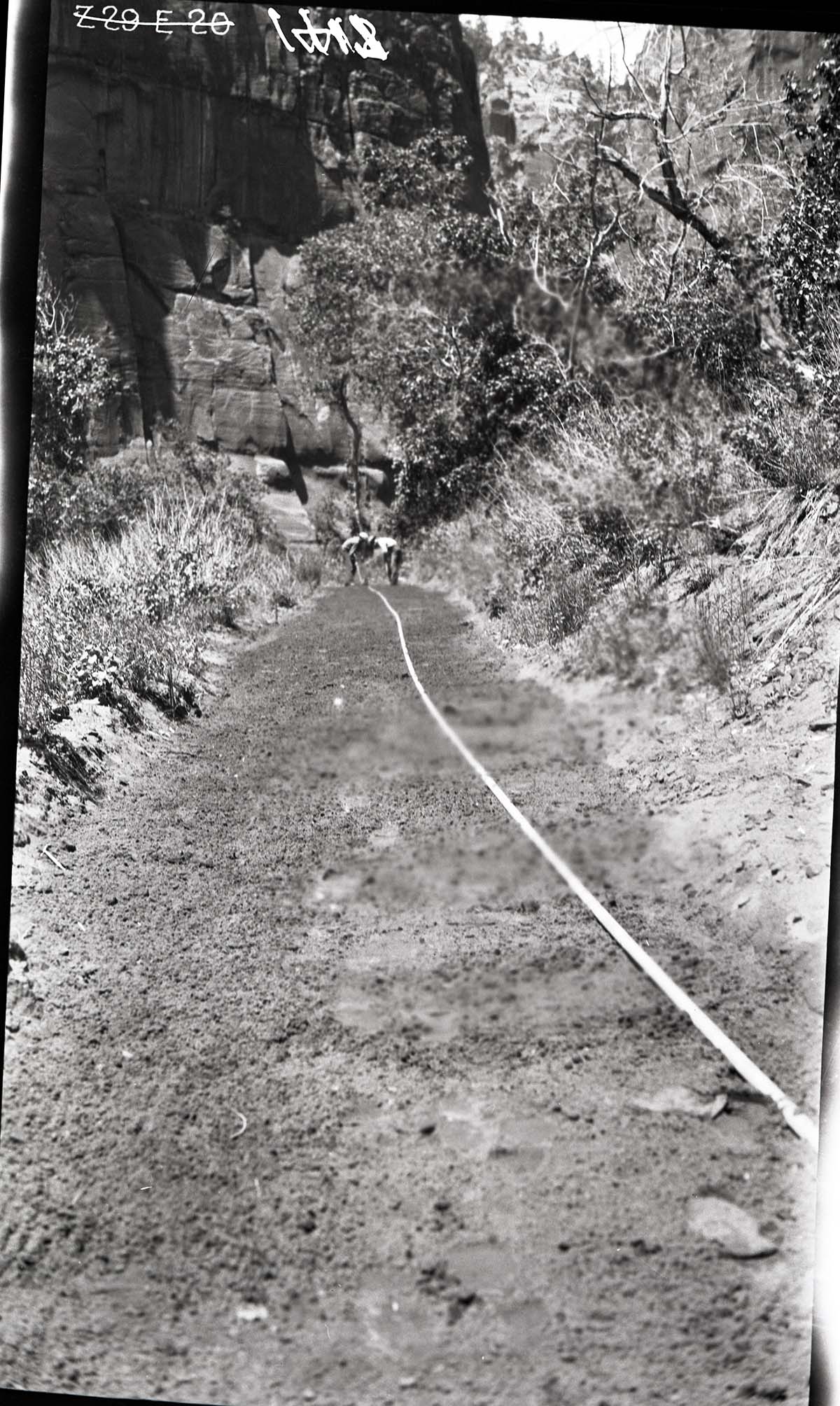 Narrows Trail construction, station 19-00.