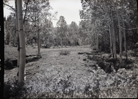 Developments on private land within Zion National Park near Lava Point.