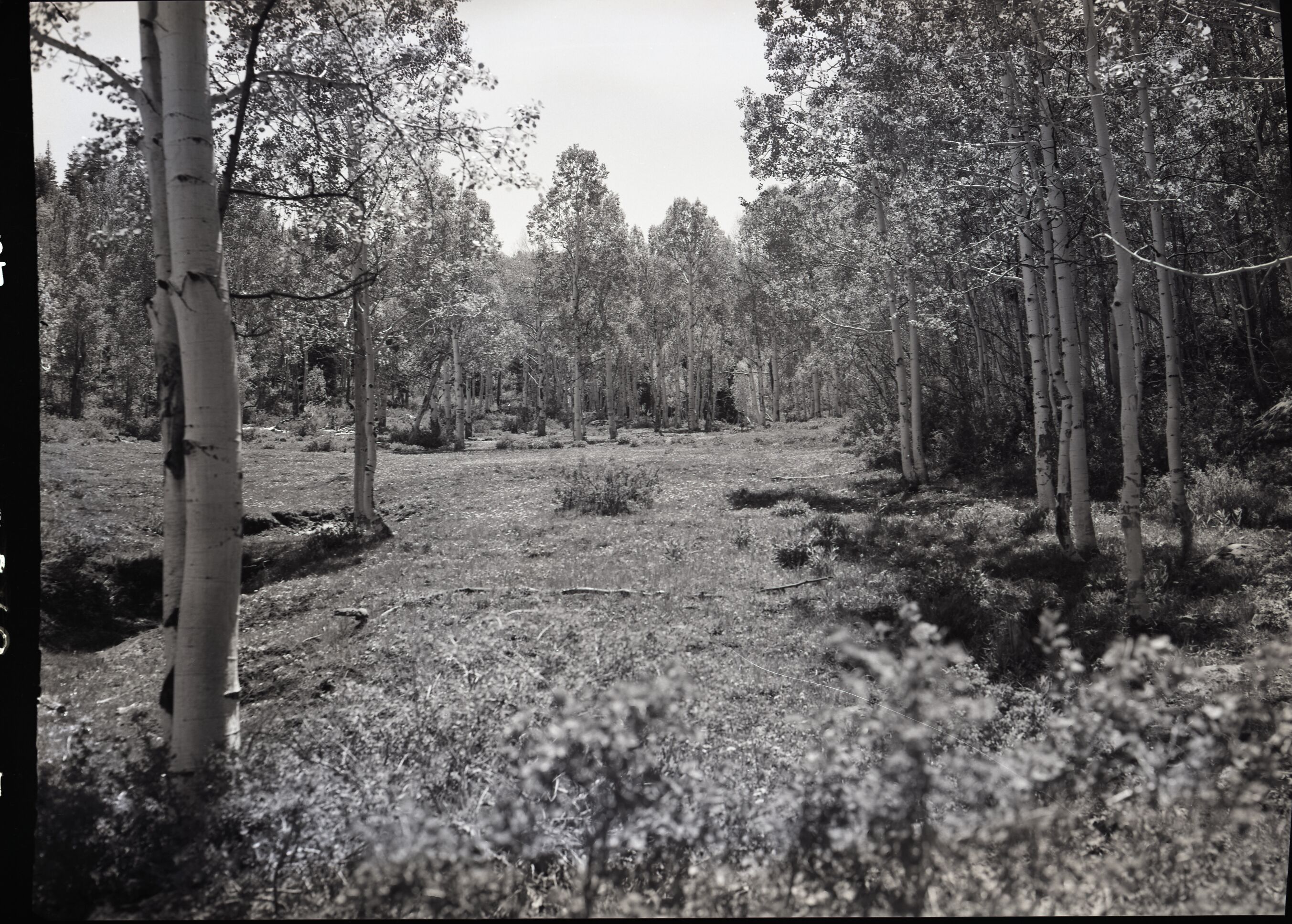 Developments on private land within Zion National Park near Lava Point.