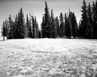 Sewage system disposal field (leach field) completed at Cedar Breaks.